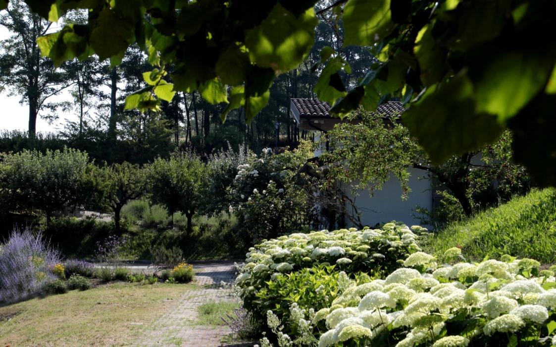 Il Borgo Delle Grazie Villa Ovada Exterior photo